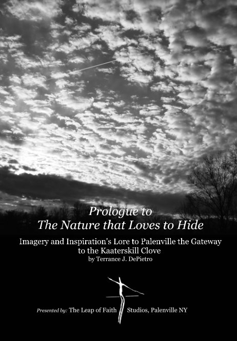 View The Nature that Loves to Hide by Terrance J. DePietro