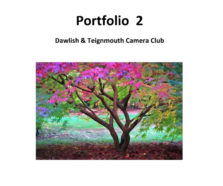 View Portfolio 2 by Dawlish & Teignmouth Camera Club
