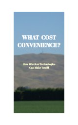 What Cost Convenience? book cover