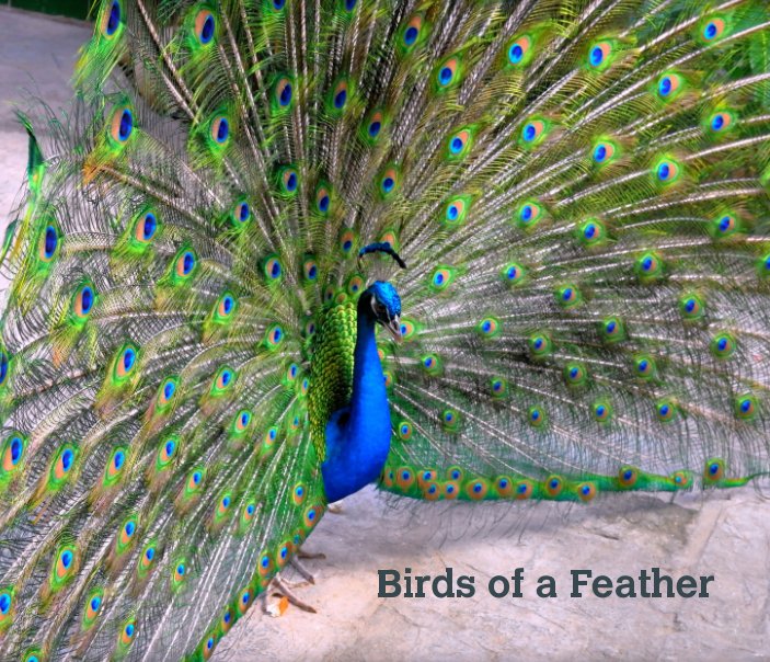 View Birds of a Feather by Madeline Gareau and Arnold Rosner