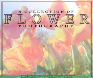 A COLLECTION OF FLOWER PHOTOGRAPHY book cover