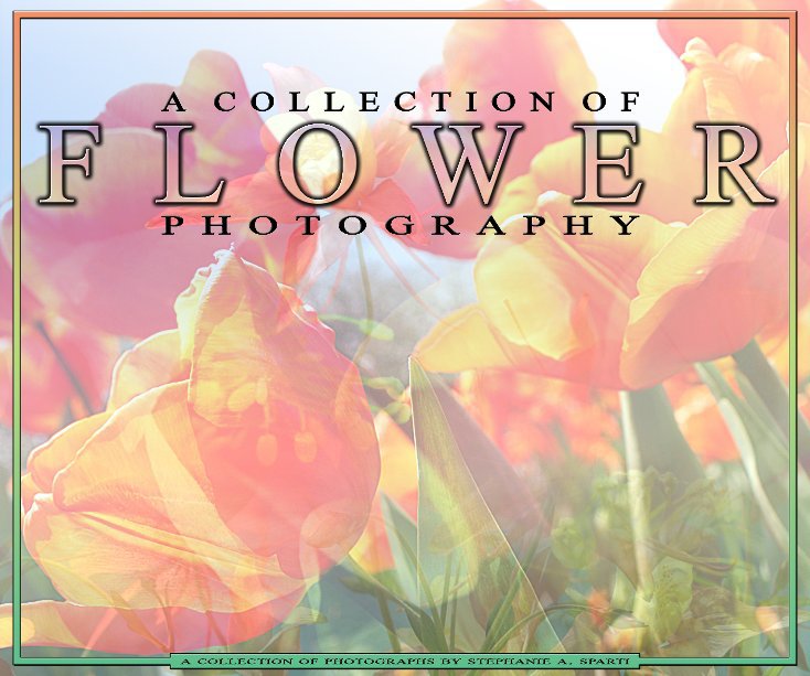 Ver A COLLECTION OF FLOWER PHOTOGRAPHY por STEPHANIE A. SPARTI