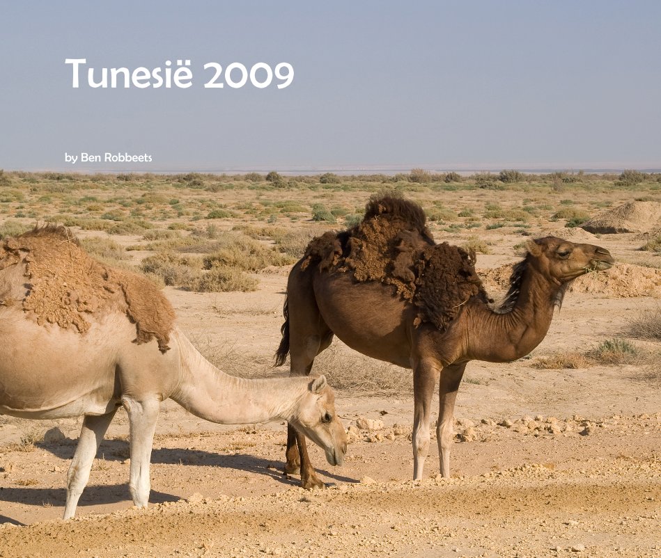 Ver TunesiÃ« 2009 por Ben Robbeets