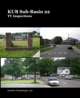 Business - KUB Sub-Basin 22 TV Inspections book cover