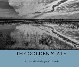 THE GOLDEN STATE book cover
