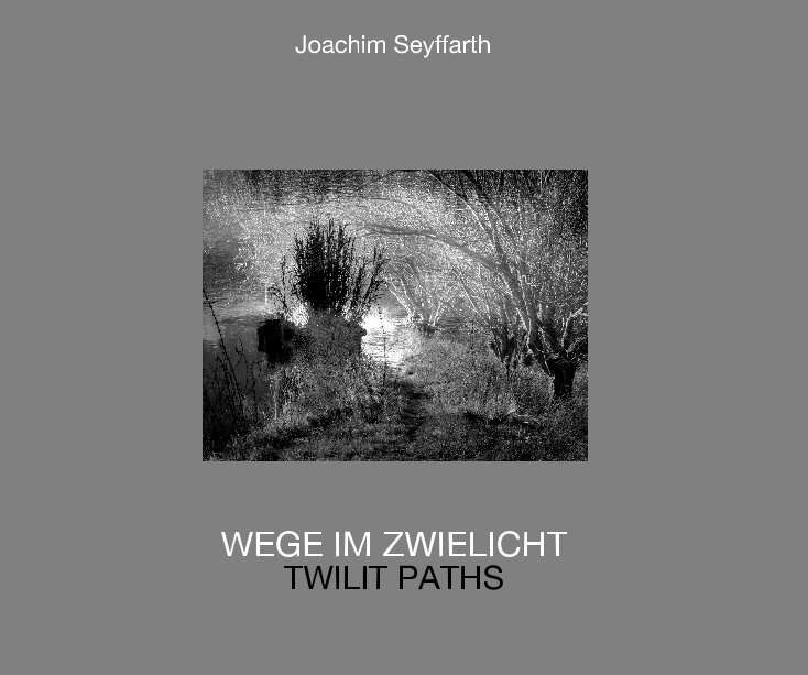 View Wege im Zwielicht by Joachim Seyffarth