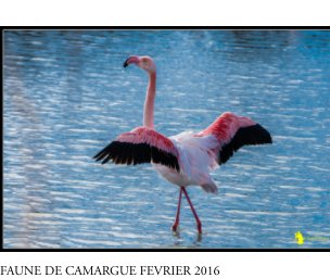 FAUNE D CAMARGUE FEVRIER 2016 book cover