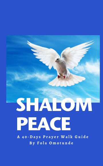 View Shalom Peace by Fola Omotunde