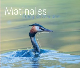 Matinales book cover