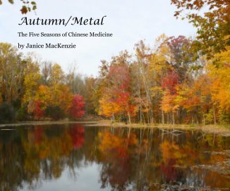 Autumn/Metal book cover