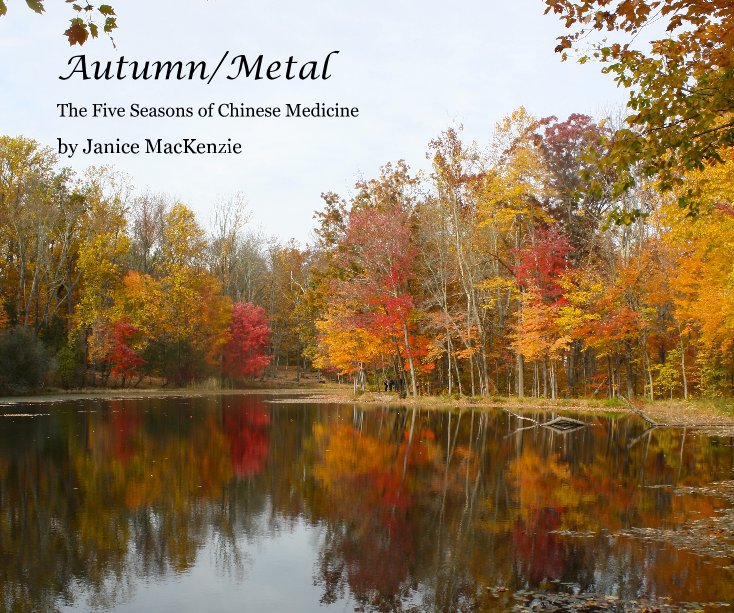 View Autumn/Metal by Janice MacKenzie