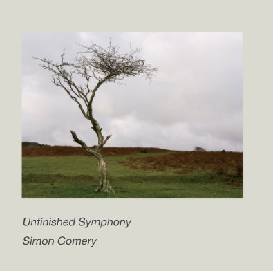 Unfinished Symphony book cover