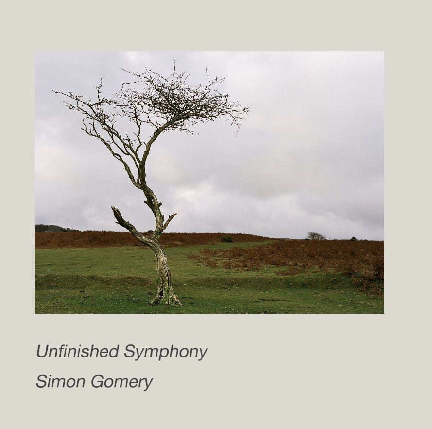 View Unfinished Symphony by Simon Gomery