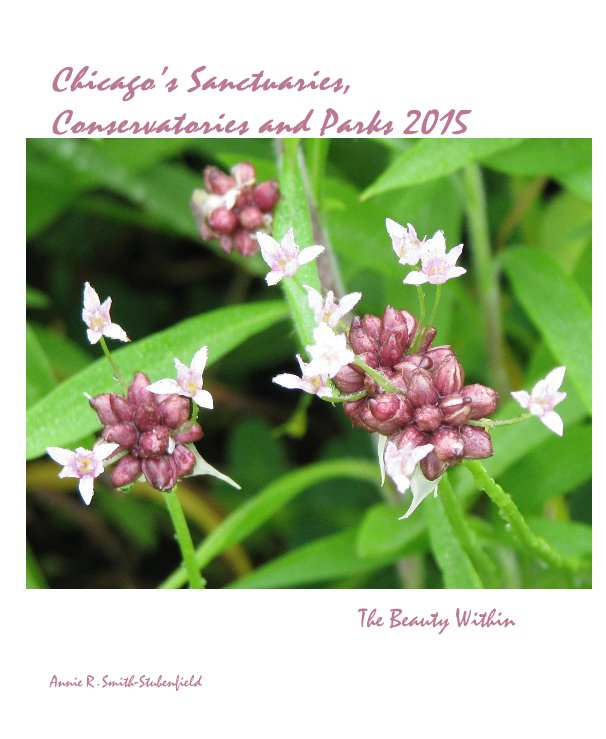 View Chicago's Sanctuaries, Conservatories and Parks 2015 by Annie R. Smith-Stubenfield