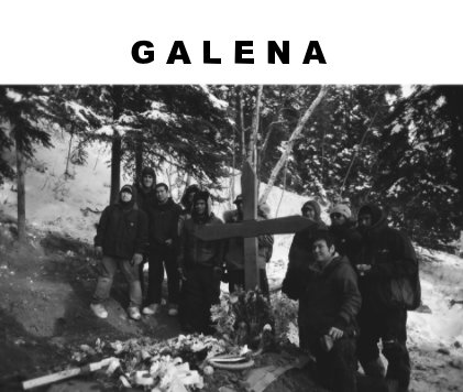 Galena book cover