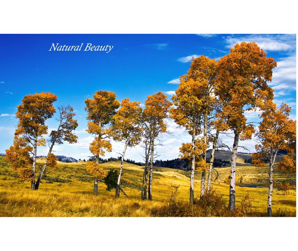 View Natural Beauty by Lou Ann Goodrich