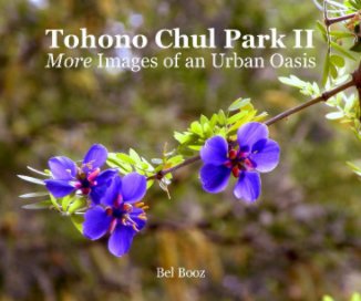 Tohono Chul Park II book cover