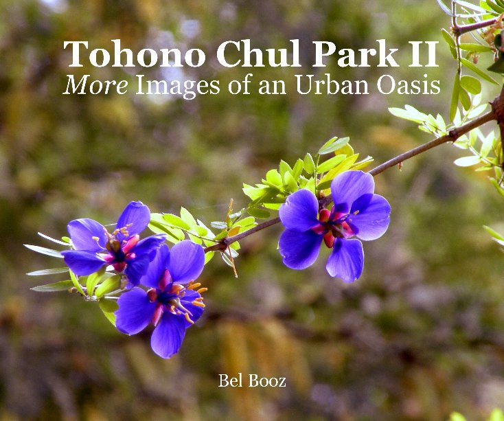View Tohono Chul Park II by BEL BOOZ