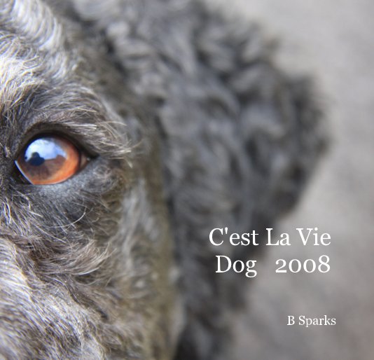 View C'est La Vie Dog 2008 by B Sparks