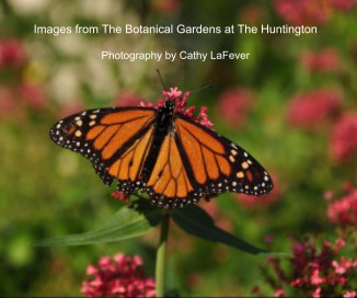Images from The Botanical Gardens at The Huntington book cover