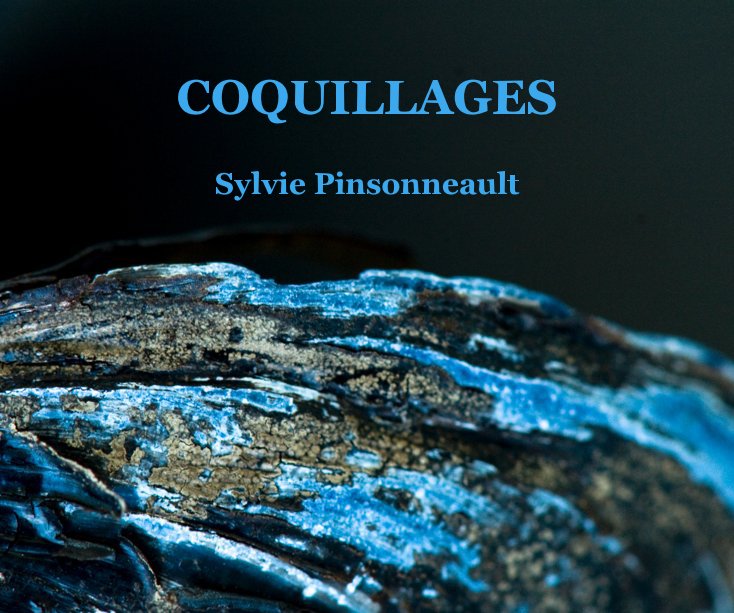 View COQUILLAGES by Sylvie Pinsonneault