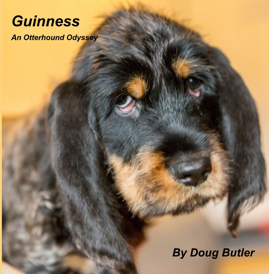 View Guinness by Doug Butler