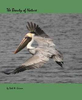 The Beauty of Nature book cover