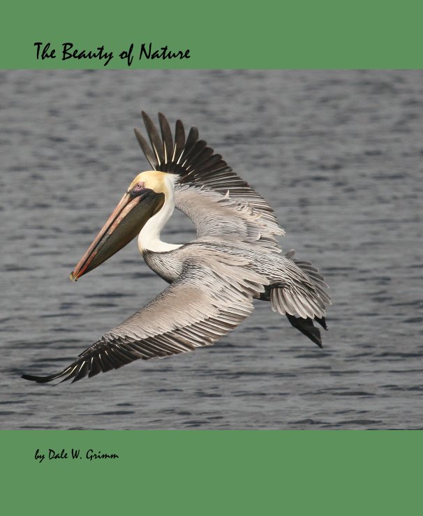 View The Beauty of Nature by Dale W. Grimm