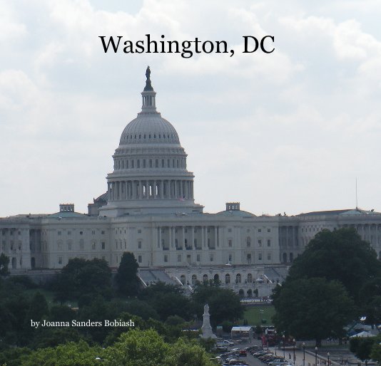 View Washington, DC by Joanna Sanders Bobiash