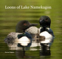 Loons of Lake Namekagon book cover