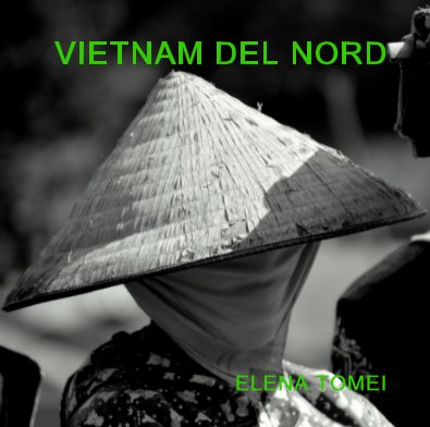 VIETNAM DEL NORD book cover