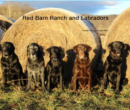 Red Barn Ranch and Labradors book cover