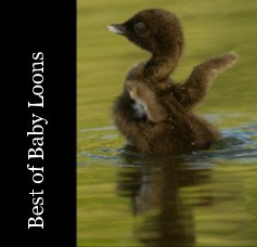 Best of Baby Loons book cover