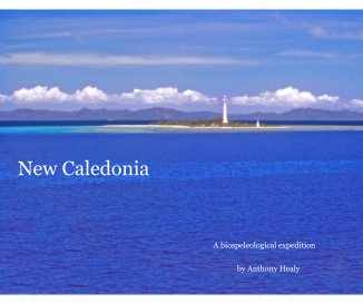 New Caledonia book cover