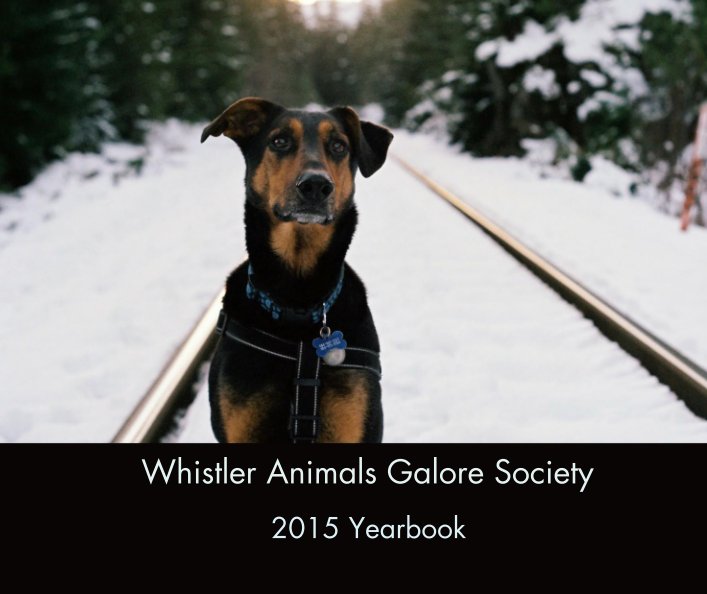 Bekijk Whistler Animals Galore Society op Catherine Mazza