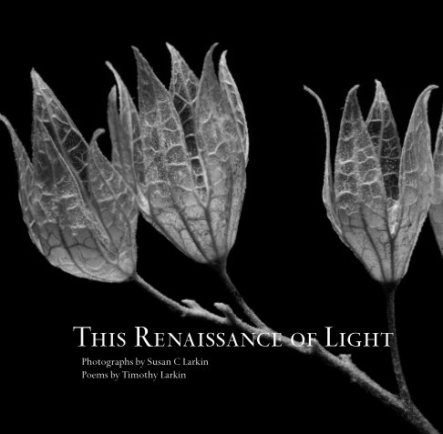 View This Renaissance of Light by Susan and Timothy Larkin