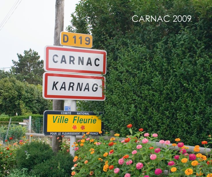 View CARNAC 2009 by Richard Wain