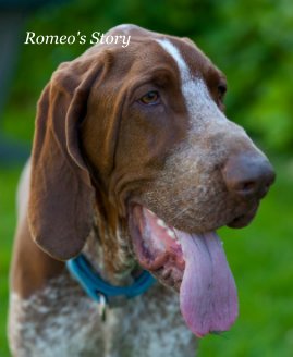 Romeo's Story book cover