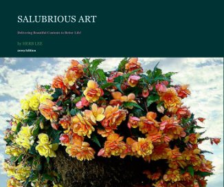 SALUBRIOUS ART book cover