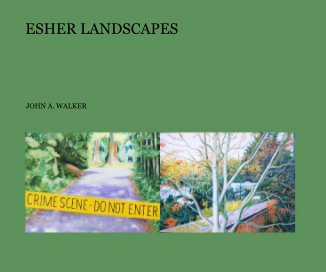 ESHER LANDSCAPES book cover
