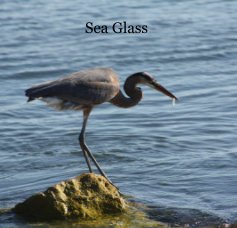 Sea Glass book cover