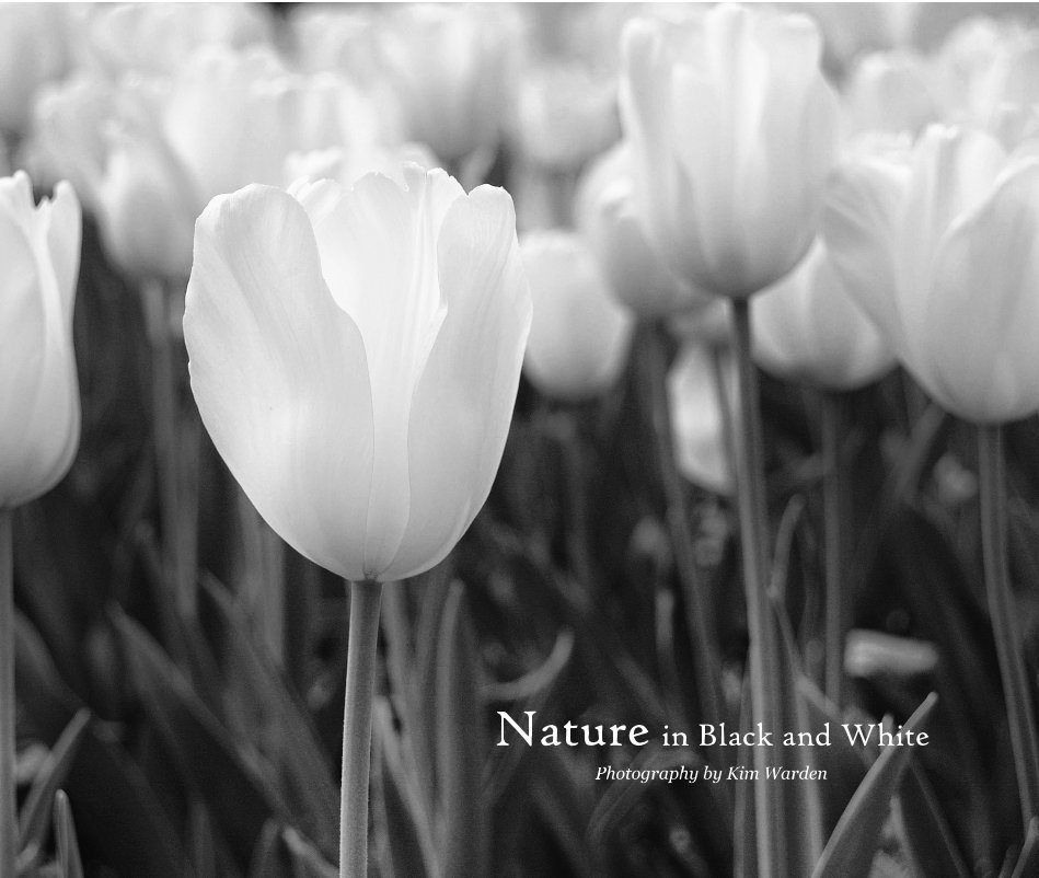 View Nature in Black and White by Kim Warden