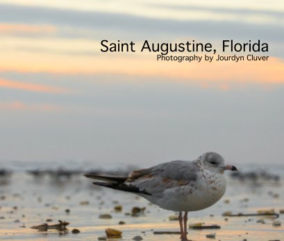 Saint Augustine, Florida book cover