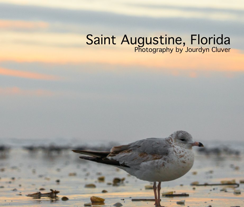 View Saint Augustine, Florida by Jourdyn Cluver