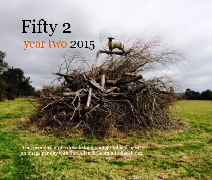 Fifty 2 year two 2015 book cover