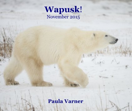 Wapusk! November 2015 book cover