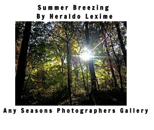 2017 Summer Breezing book cover