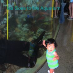 Isa Goes to the Aquarium book cover