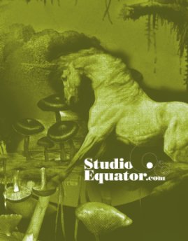 Studio Equator book cover