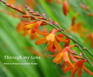 Through my Lens book cover